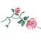 Rose Vine Wall Stencil | 659 by Designer Stencils | Floral Stencils | Reusable Art Craft Stencils for Painting on Walls, Canvas, Wood | Reusable Plastic Paint Stencil for Home Makeover | Easy to Use & Clean Art Stencil